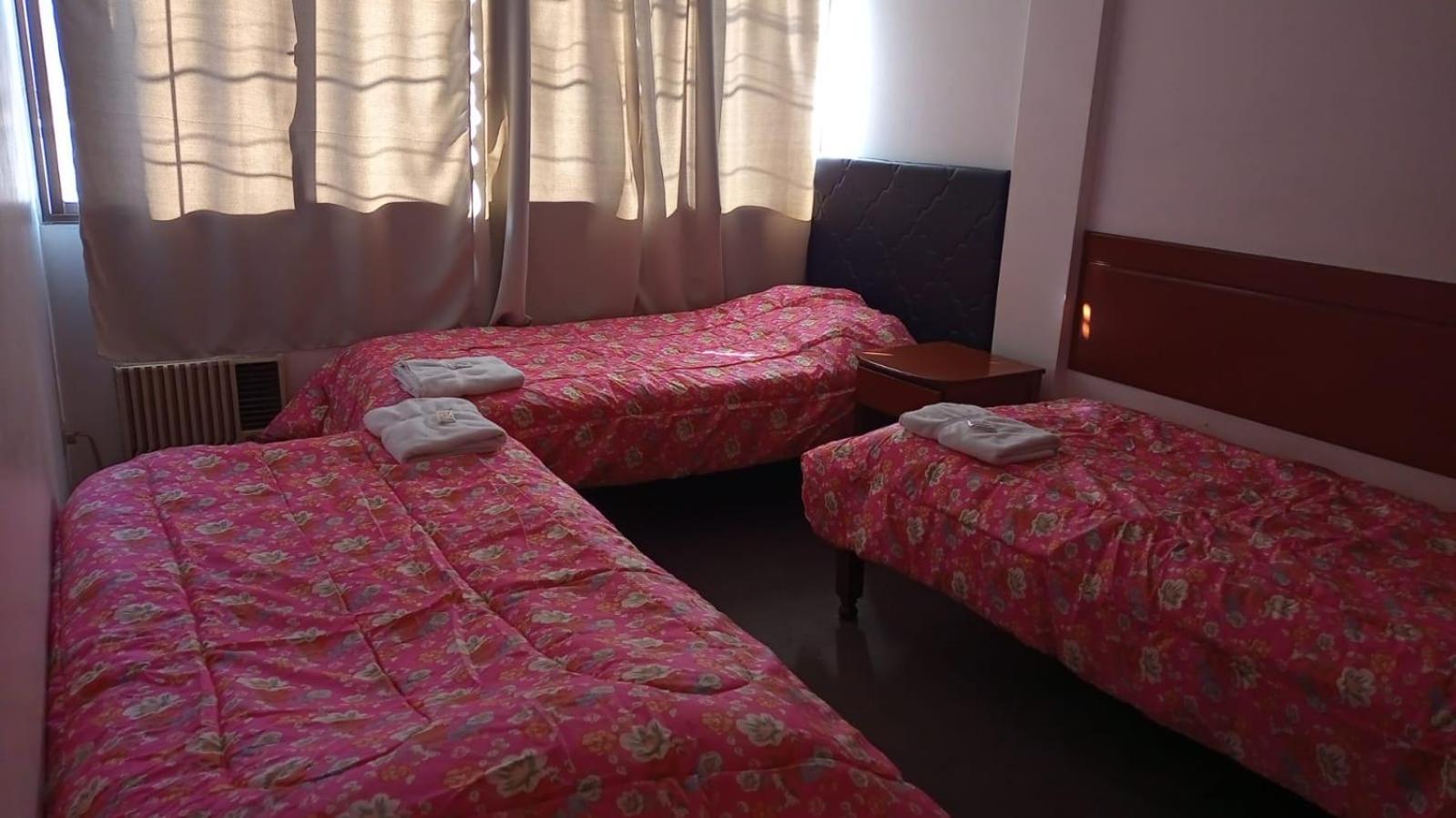 Hotel Alvear Jujuy San Salvador de Jujuy Ngoại thất bức ảnh